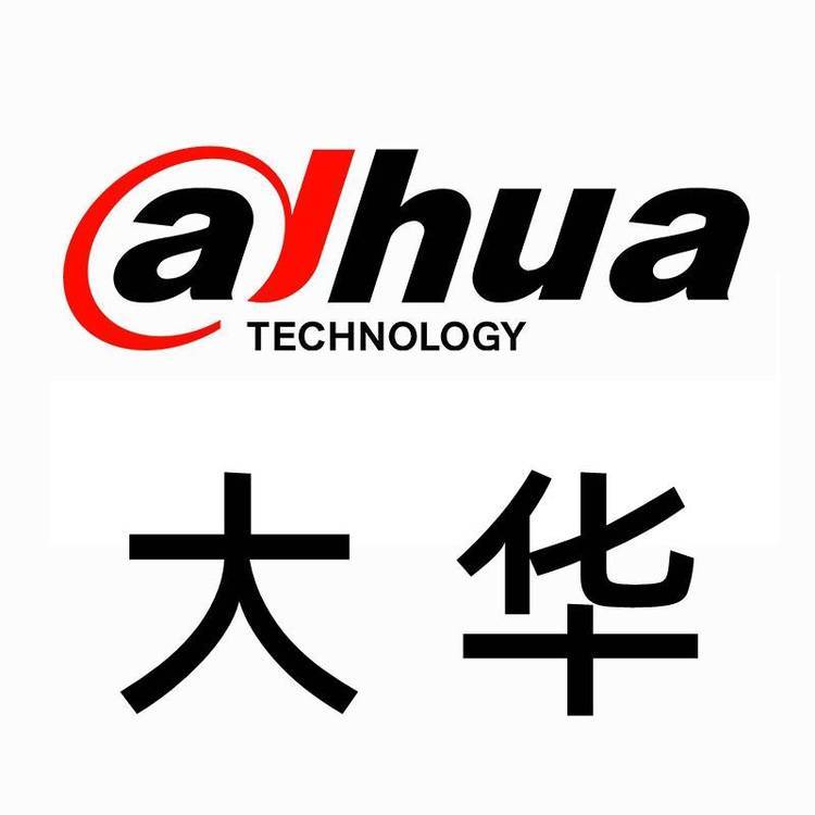 大华